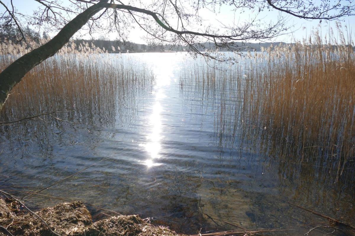 Landhaus Am See App. 2 Ponitz am See Exterior photo