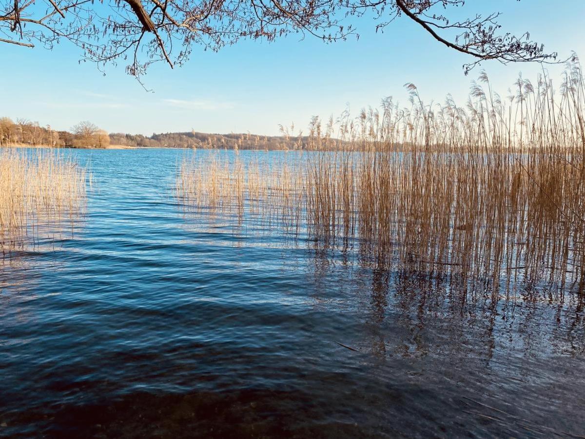 Landhaus Am See App. 2 Ponitz am See Exterior photo